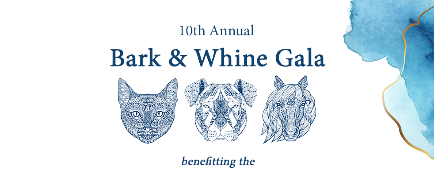 Main Line Animal Rescue Leaders in Animal Welfare