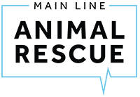 Main Line Animal Rescue