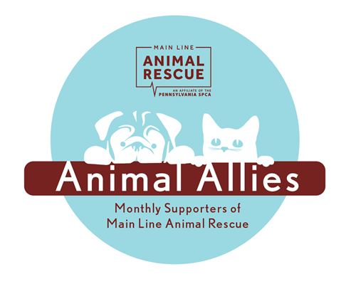 Animal Allies